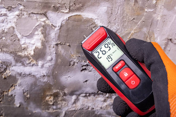 Best Mold Testing  in Oak Hills Pce, LA