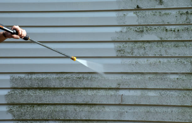 Mold Removal Process in Oak Hills Place, LA