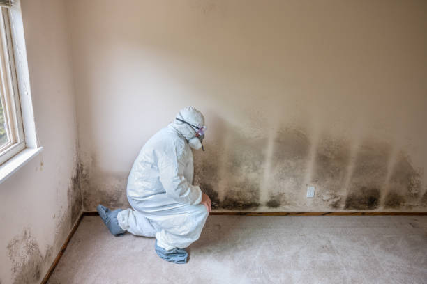 Best Residential Mold Removal  in Oak Hills Pce, LA
