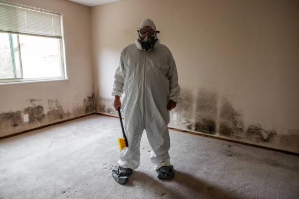 Oak Hills Place, LA Mold Removal Company